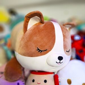 REGINA 🐶 FTM 30" Brown & White Corgi Dog SleepAMallow Original Squishmallow NWT